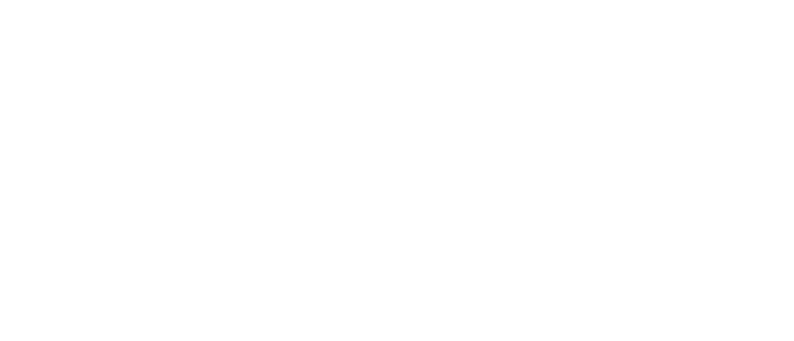 adult swim