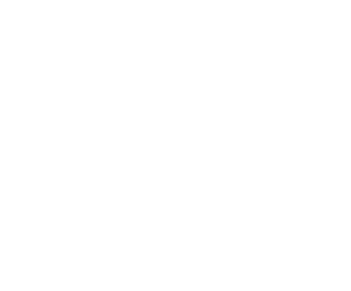 Boomerang