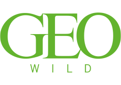 Logo for GEO Wild