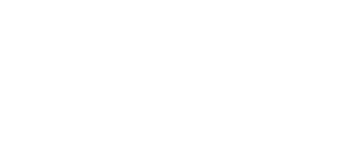 FOX One