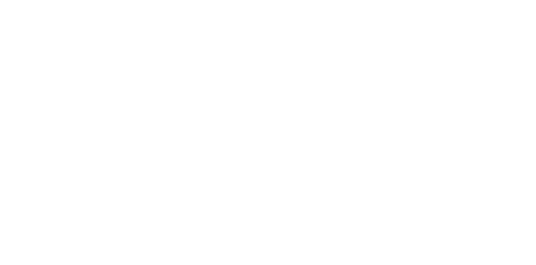 HIDIVE
